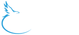 Trusted Choice Logo